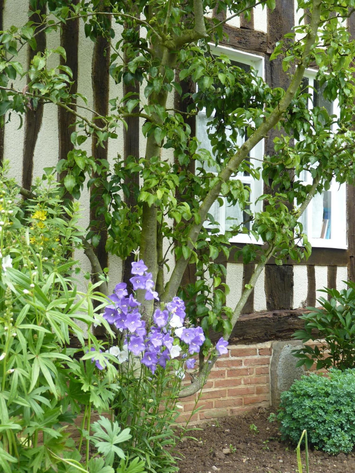 La Charretterie Bed and Breakfast Bacqueville-en-Caux Buitenkant foto